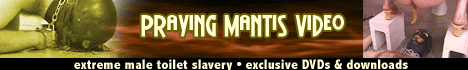 praying mantis