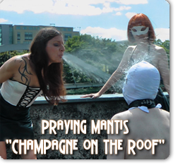 pm27_champagne_on_the_roof